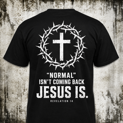 Normal isn't coming back T‑Shirt