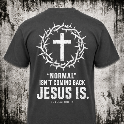 Normal isn't coming back T‑Shirt
