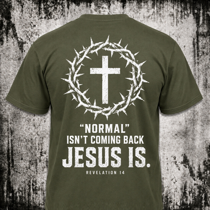 Normal isn't coming back T‑Shirt